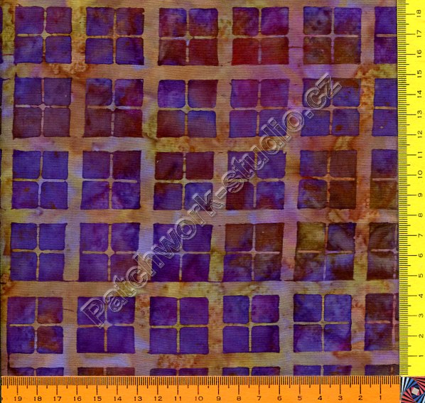 C244-081