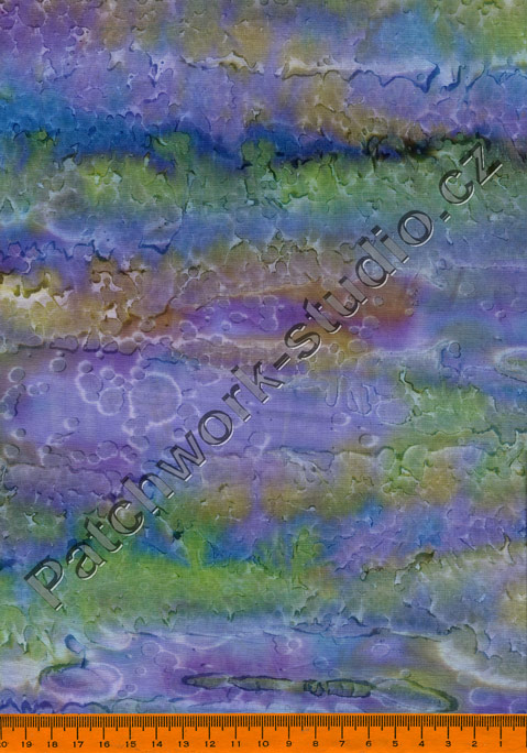 C153-081